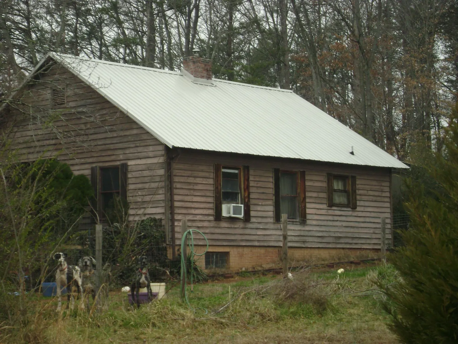 White metal roof on an old wood sided farmhouse, from a Metal Roof Installation job in Point Harbor